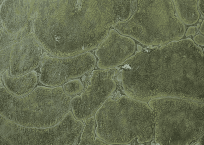 Victoria Regia Hydro Finish