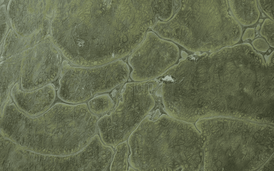 Victoria Regia Hydro Finish